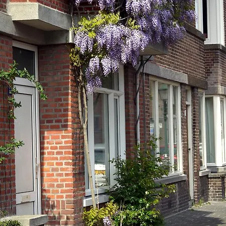 Parra-dise * Den Haag