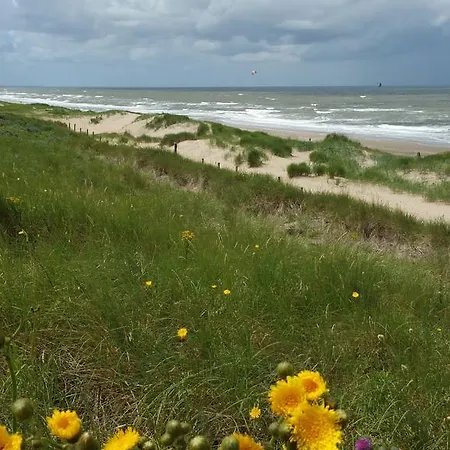Parra-dise Den Haag